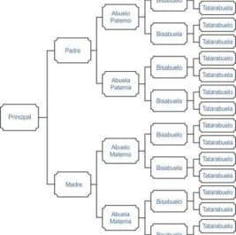 Árbol lineal de antepasados