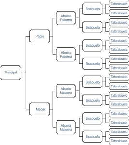 esquema de antepasados de costados