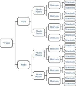 ¿Cuántos antepasados tengo?