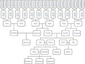Árbol genealogico mixto