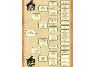 Árbol de antepasados vertical con escudos