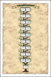 investigacion seria del apellido